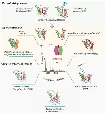 Combining Mass Spectrometry and X-Ray Crystallography for Analyzing Native-Like Membrane Protein Lipid Complexes